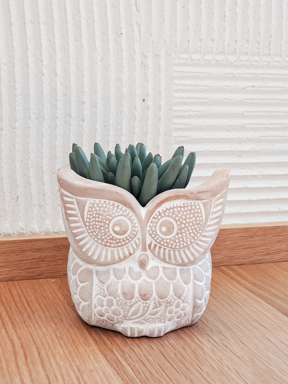 Terracotta Pot - Big Eye Owl-1